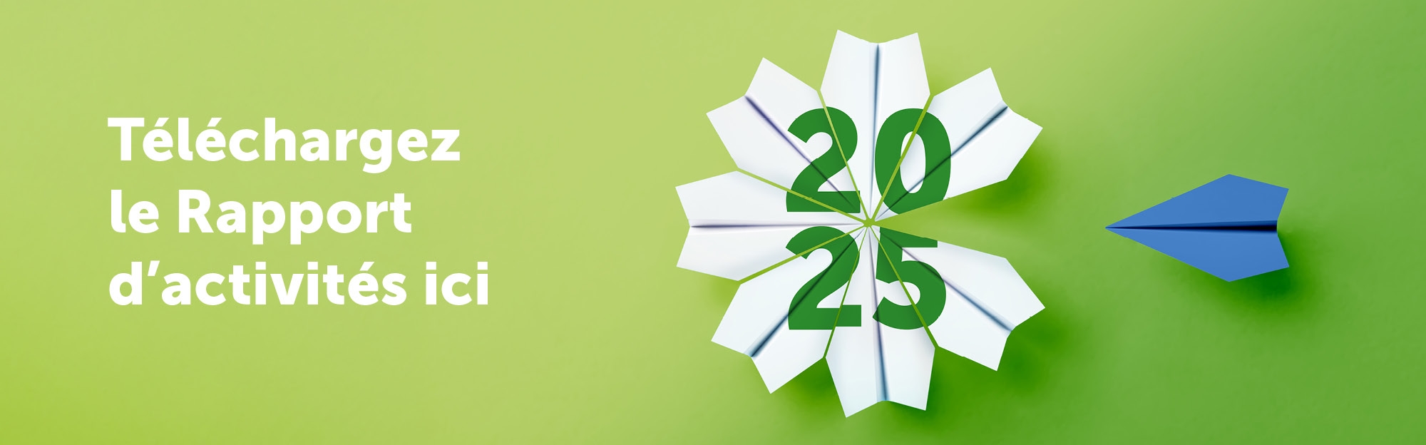 rapport d'activités 2025